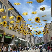 Über der Fußgängerzone schweben im Rahmen der Aktion „Stadtsommer“ Sonnenblumen. © Regierung von Schwaben